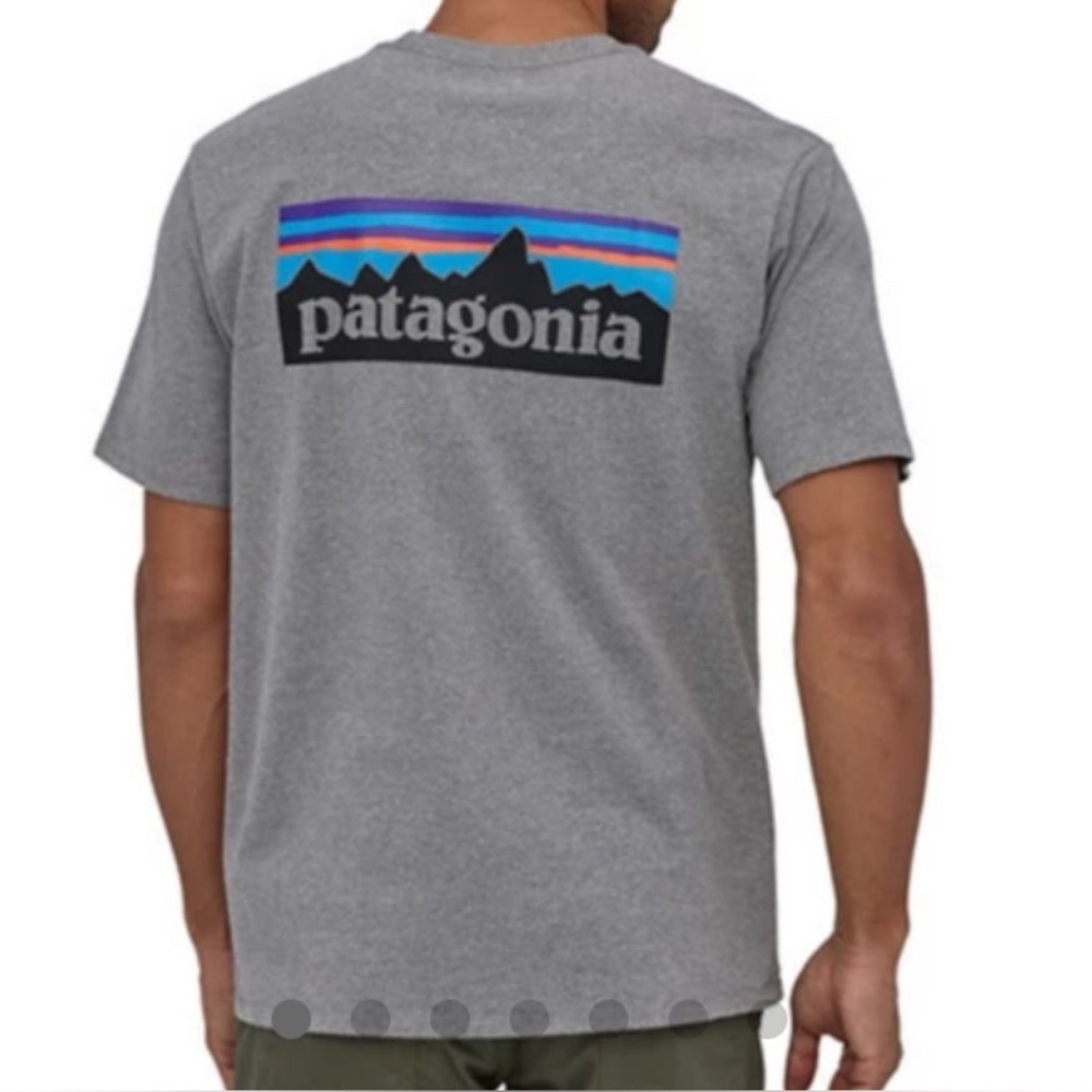 Patagonia Men's Gray Tee with Logo